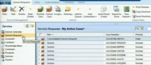 Microsoft CRM 5 - xrm